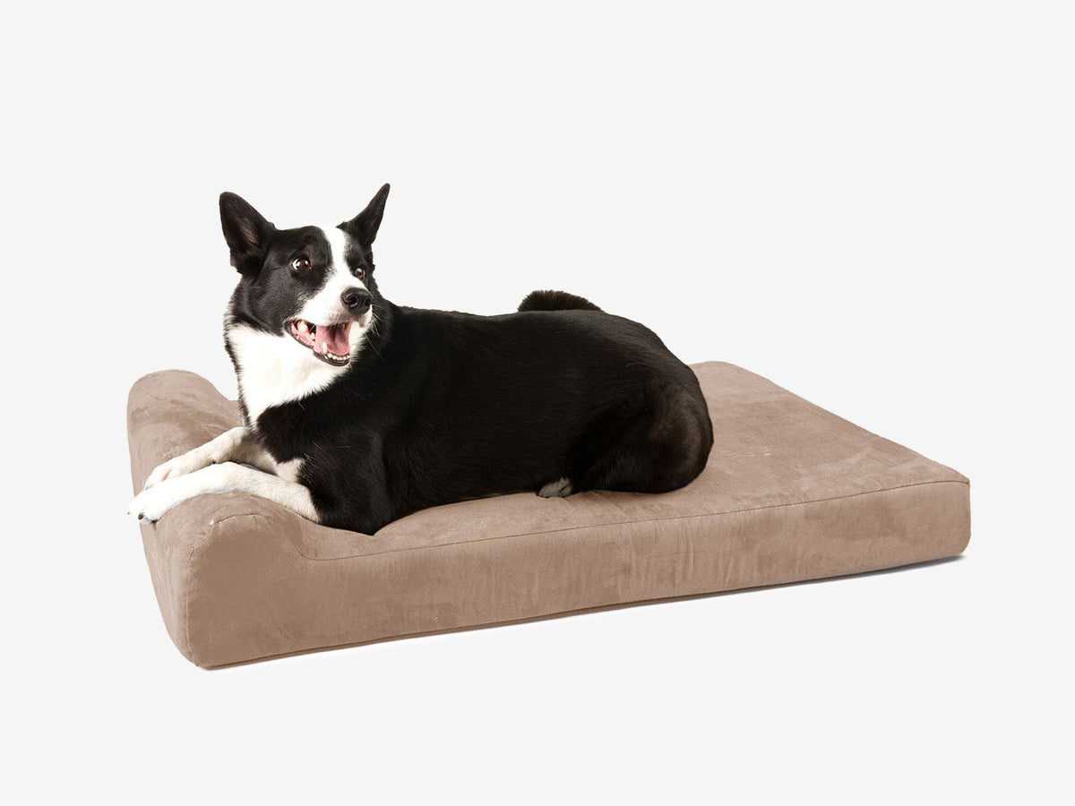 Junior Orthopedic Dog Bed