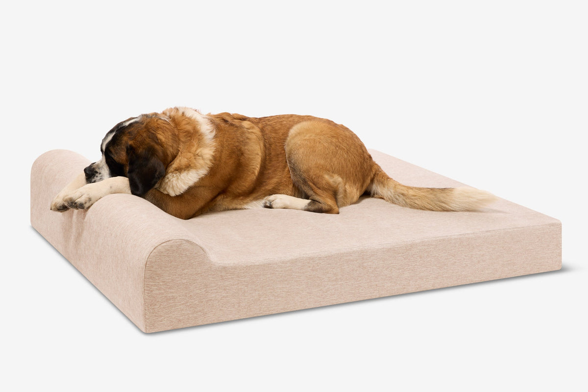 Original Orthopedic Dog Bed