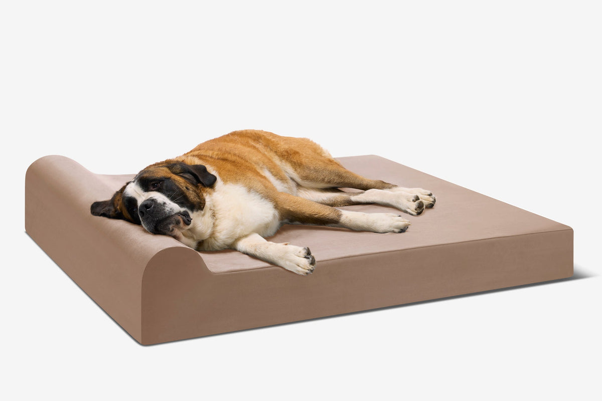Original Orthopedic Dog Bed