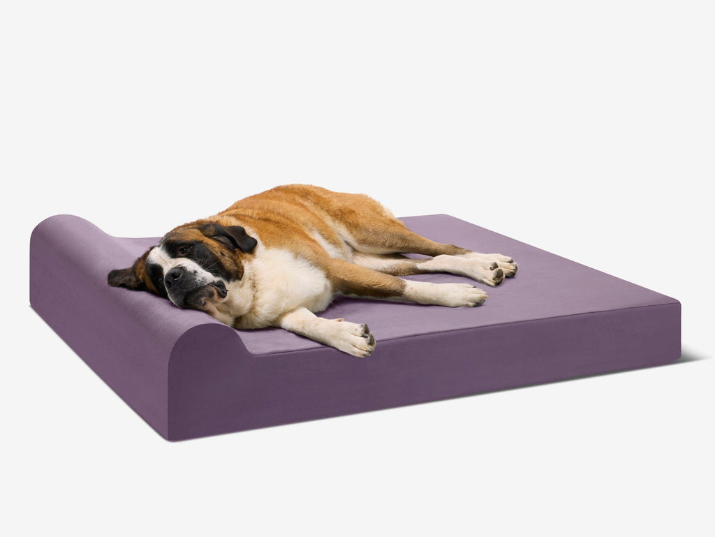 Original Orthopedic Dog Bed