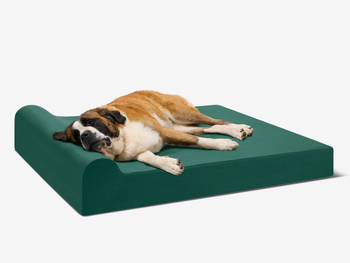 Original Orthopedic Dog Bed