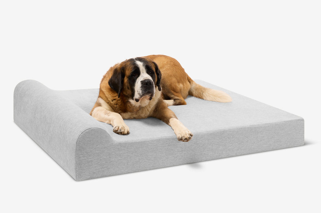 Original Orthopedic Dog Bed