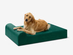 Original Orthopedic Dog Bed