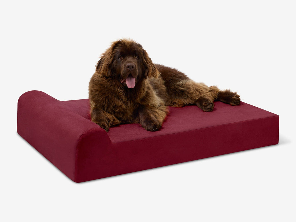 Original Orthopedic Dog Bed