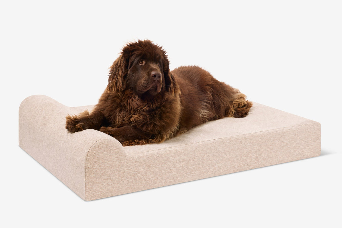 Original Orthopedic Dog Bed