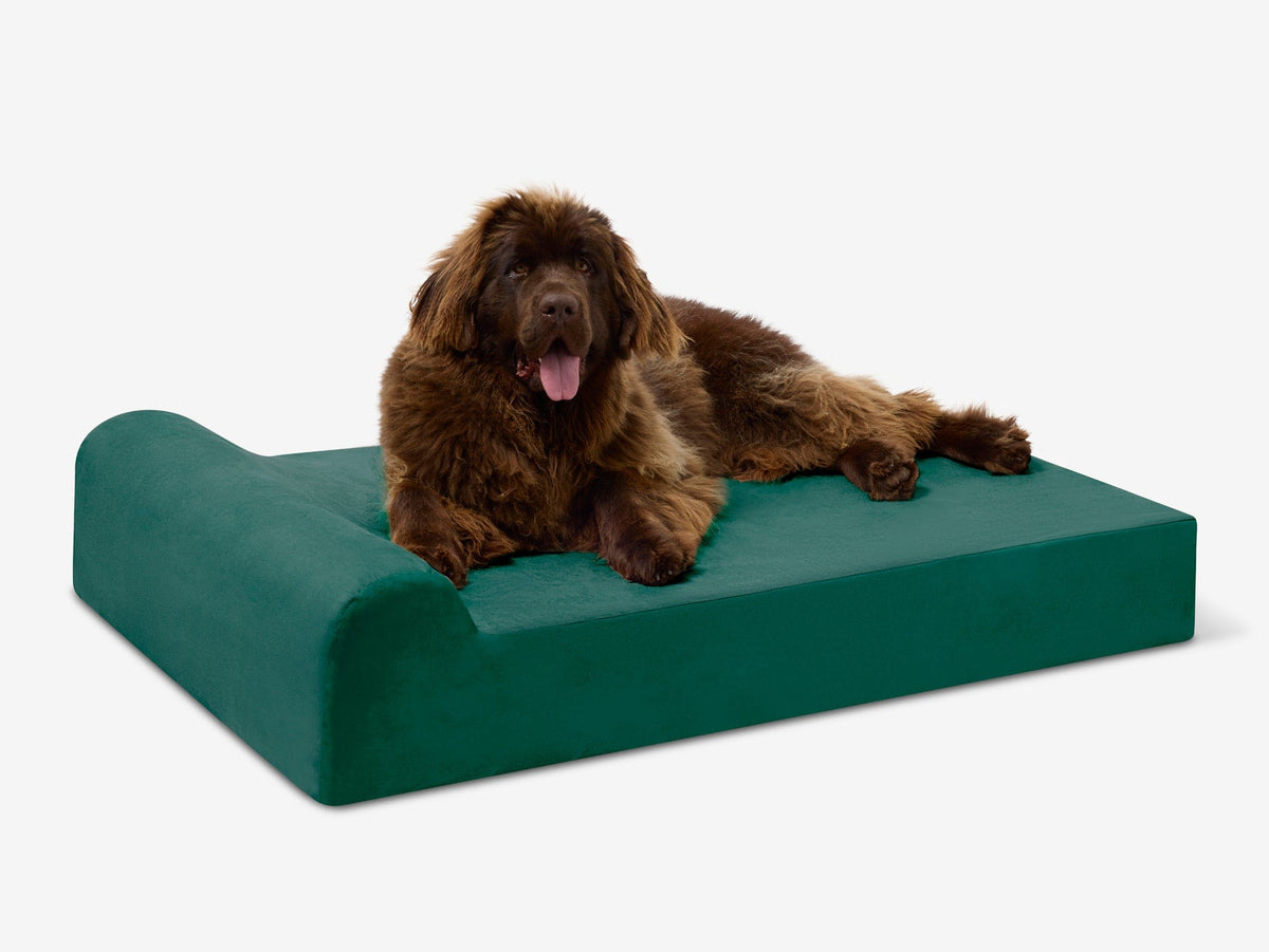 Original Orthopedic Dog Bed