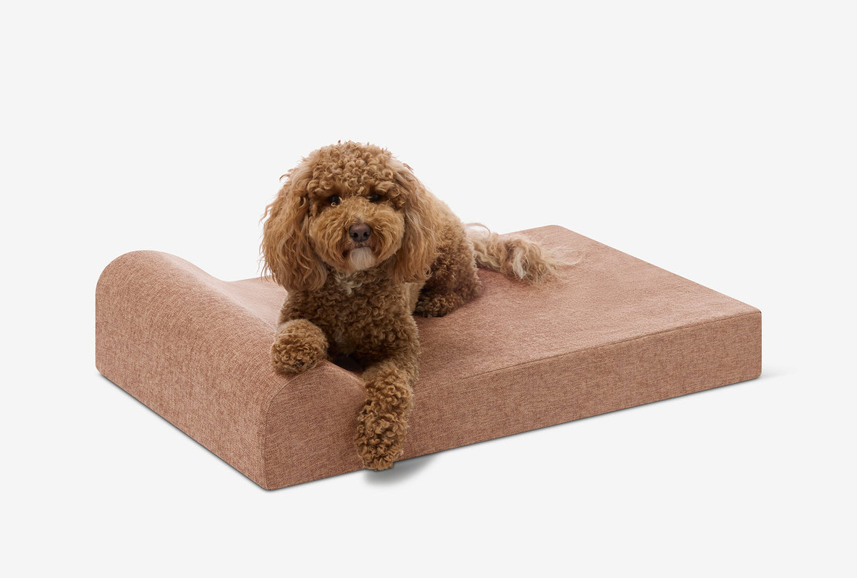 Junior Orthopedic Dog Bed