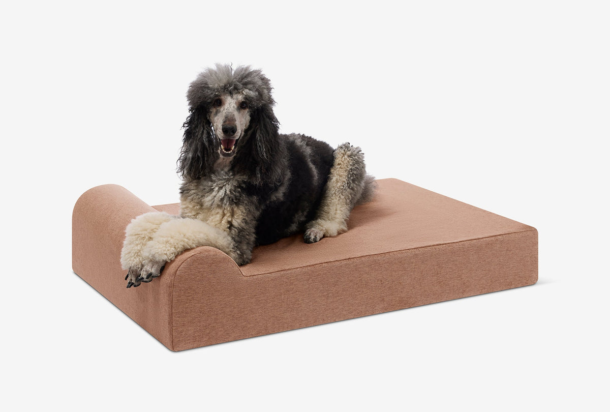 Original Orthopedic Dog Bed