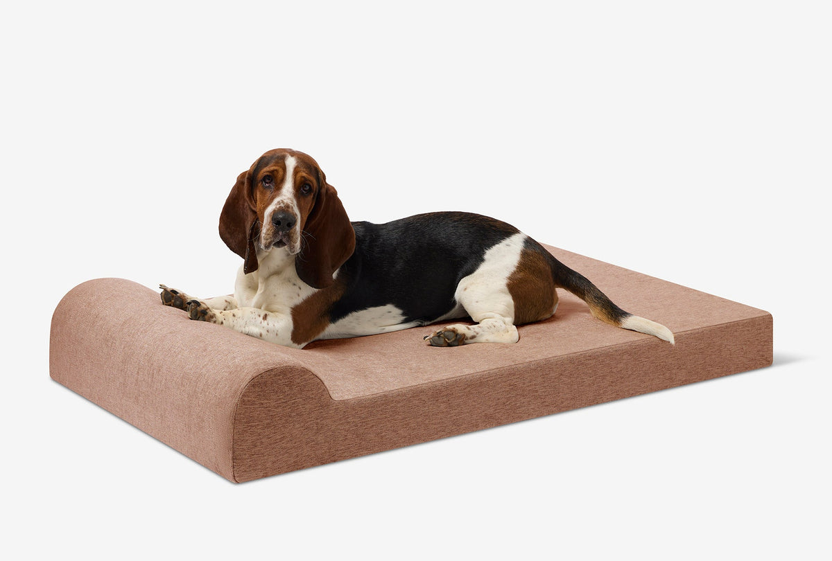 Junior Orthopedic Dog Bed