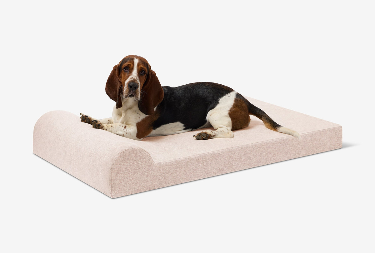 Junior Orthopedic Dog Bed