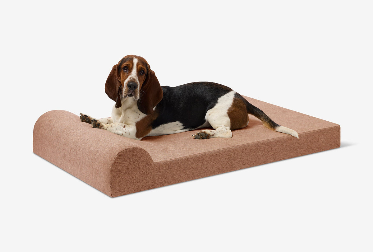 Junior Orthopedic Dog Bed