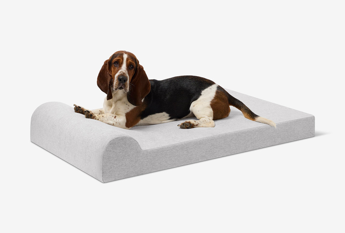 Junior Orthopedic Dog Bed