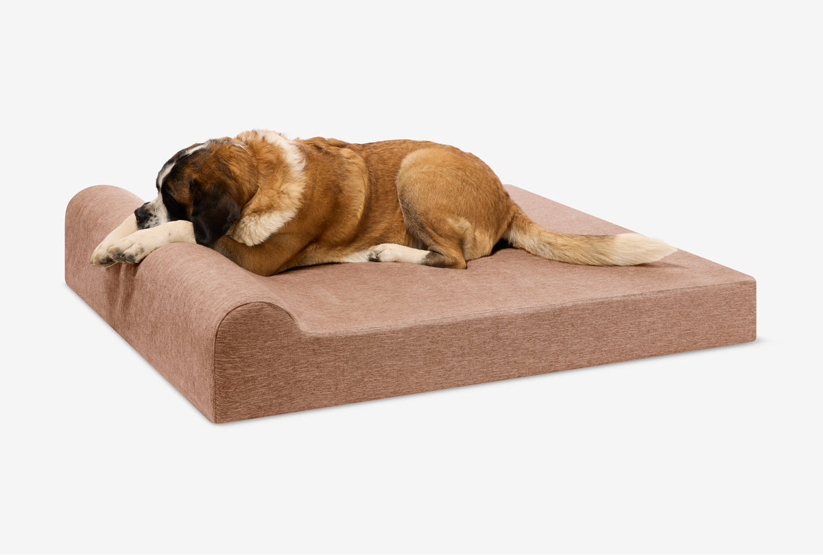 Original Orthopedic Dog Bed