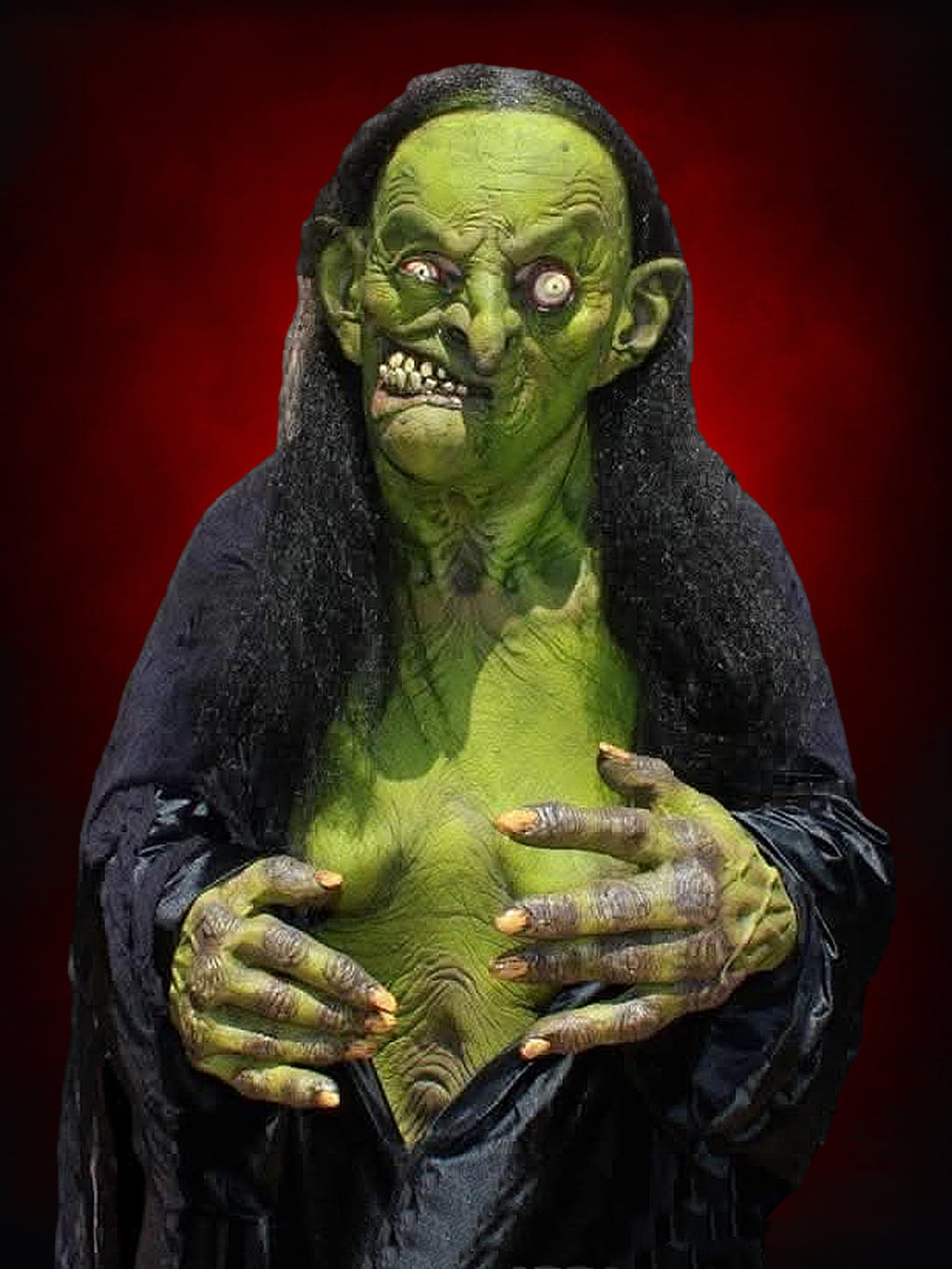 "Helga the Witch" HD Studios Pro Halloween Costume Halloween decoration