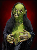 "Helga the Witch" HD Studios Pro Halloween Costume Halloween decoration