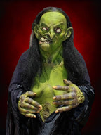 "Helga the Witch" HD Studios Pro Halloween Costume Halloween decoration