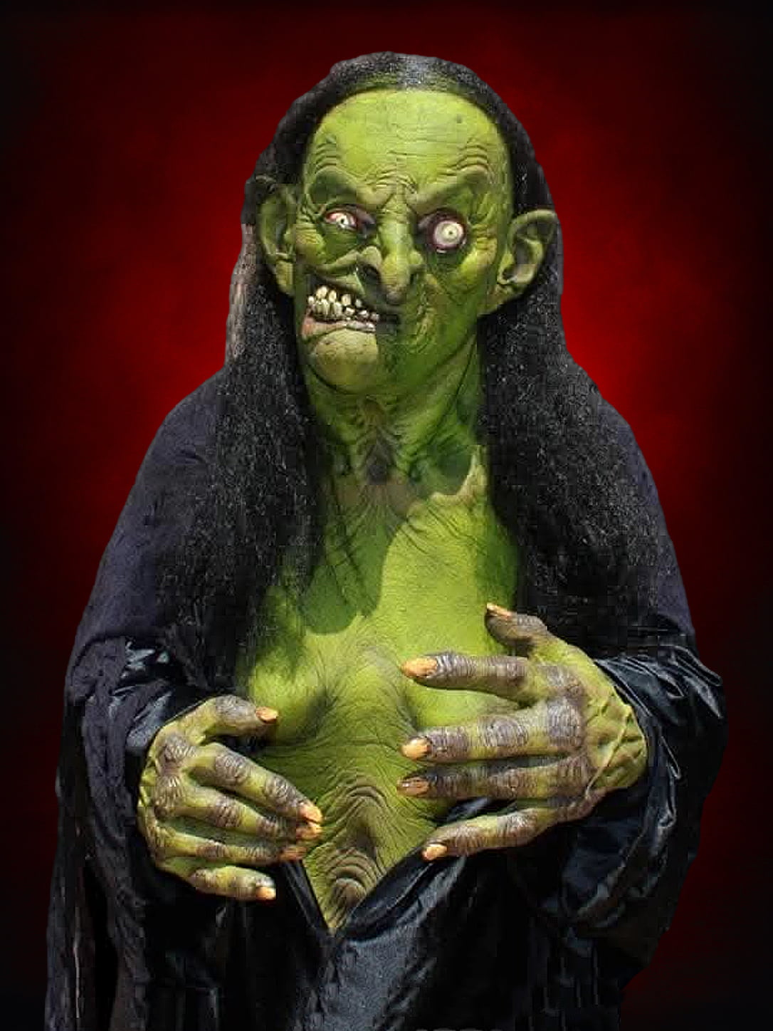 "Helga the Witch" HD Studios Pro Halloween Costume Halloween decoration