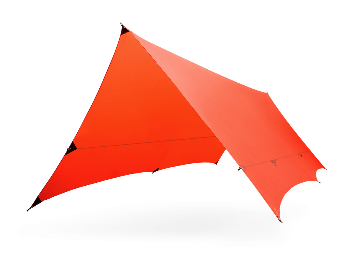 Kuhli XL