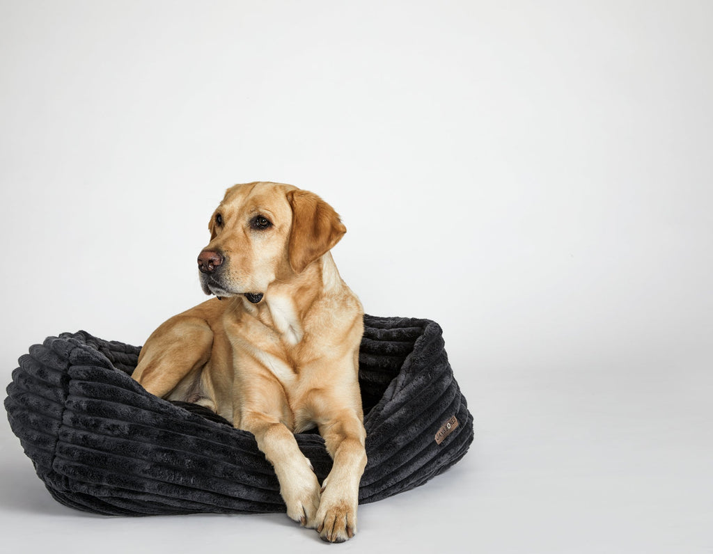 Luna Black Napper Bed