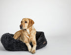 Luna Black Napper Bed