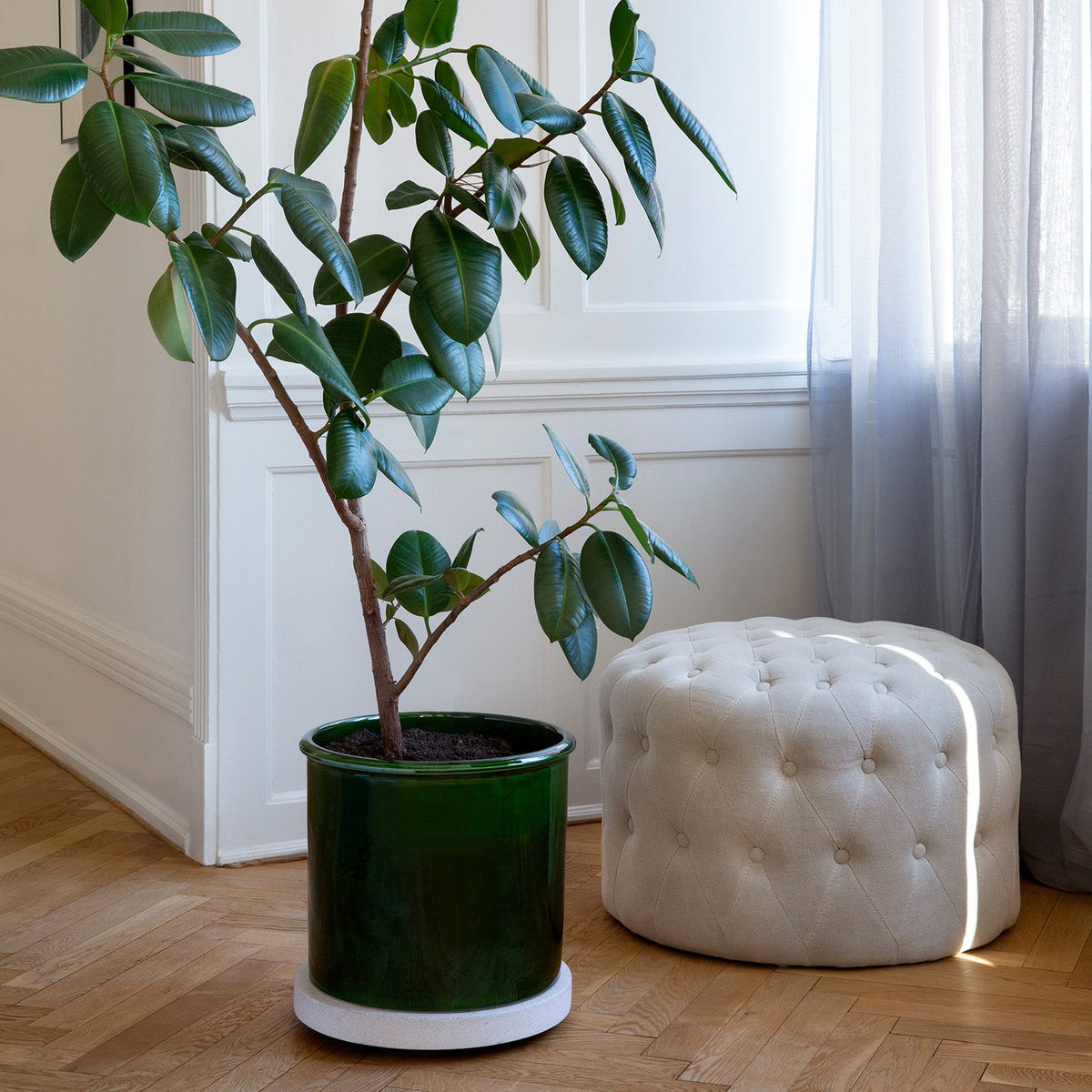 Plant Trolley Ø35