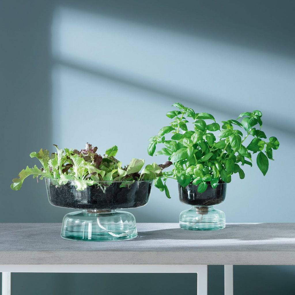 Canopy Self Watering Planter