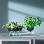 Canopy Self Watering Planter