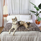 PupProtector™ Luxe Waterproof Bed Runner - Ultra Soft Chinchilla