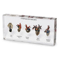 Authentic Heart Specimen Display Halloween decoration
