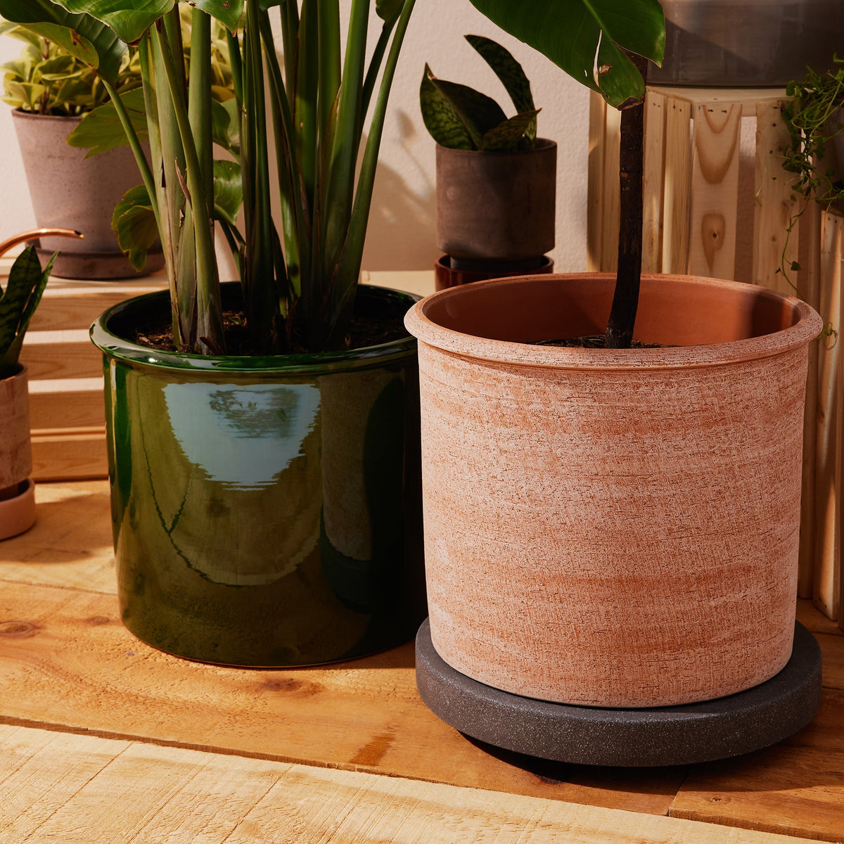 Modena Ø35 Planter & Saucer