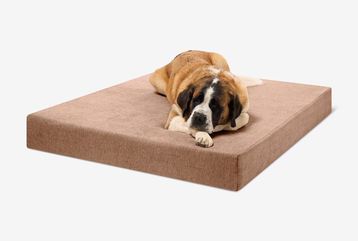 Original Orthopedic Dog Bed