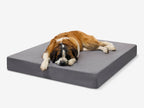 Original Orthopedic Dog Bed