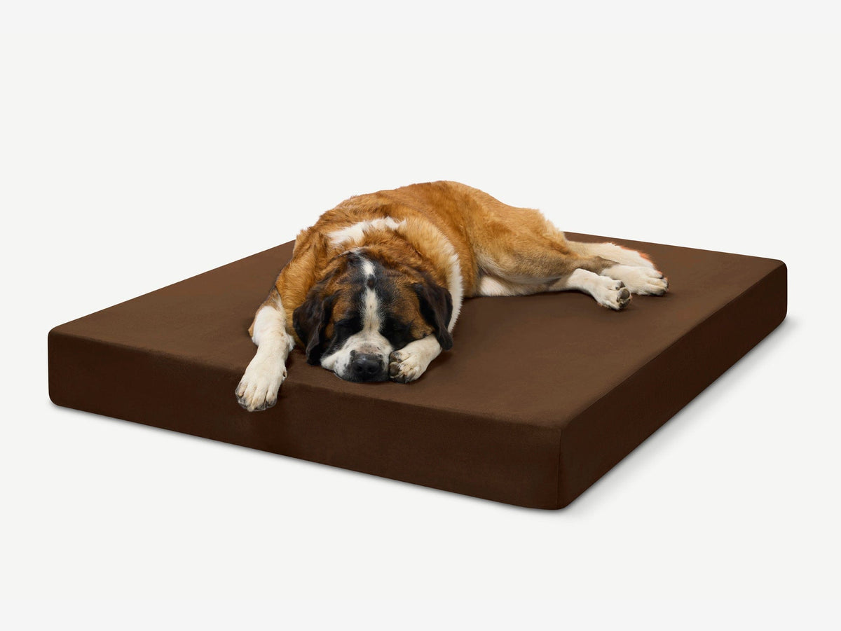 Original Orthopedic Dog Bed
