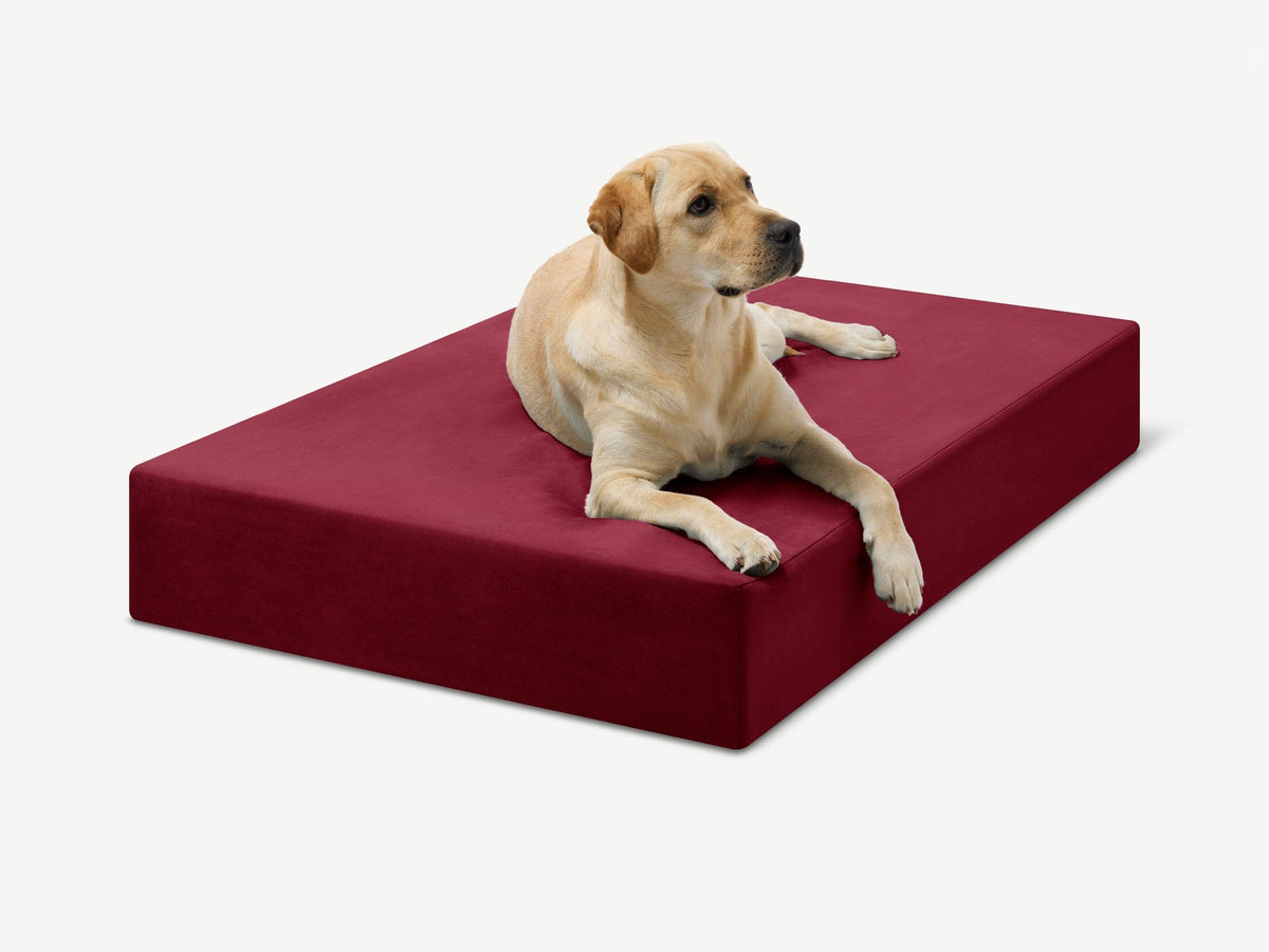 Original Orthopedic Dog Bed