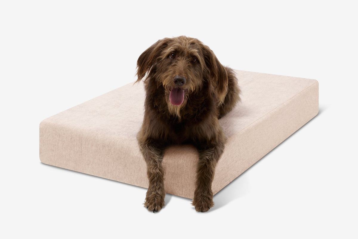 Original Orthopedic Dog Bed