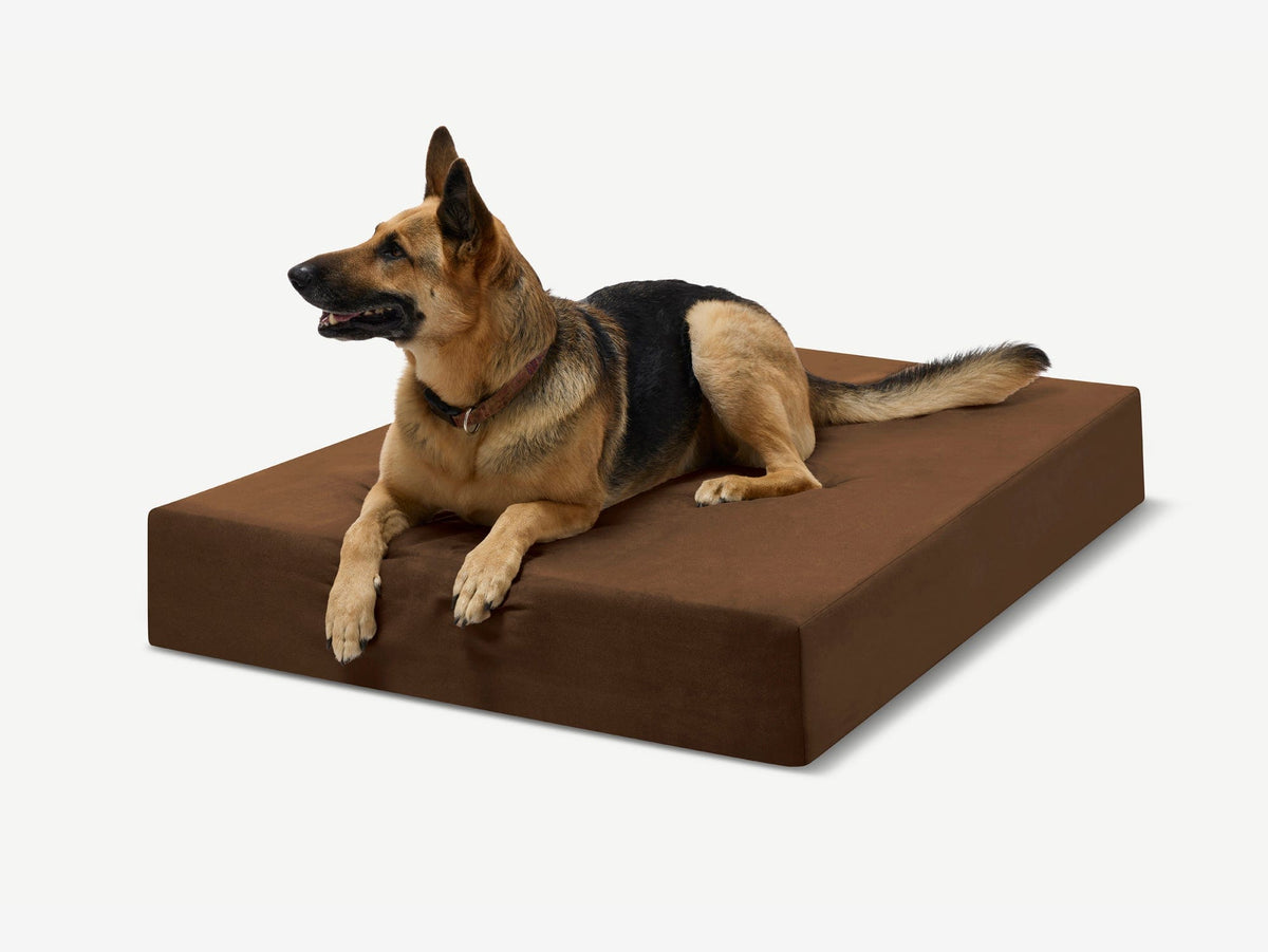 Original Orthopedic Dog Bed