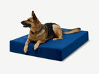 Original Orthopedic Dog Bed