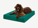 Original Orthopedic Dog Bed