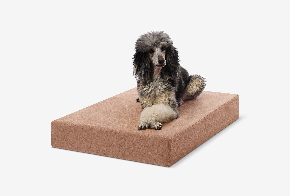 Original Orthopedic Dog Bed