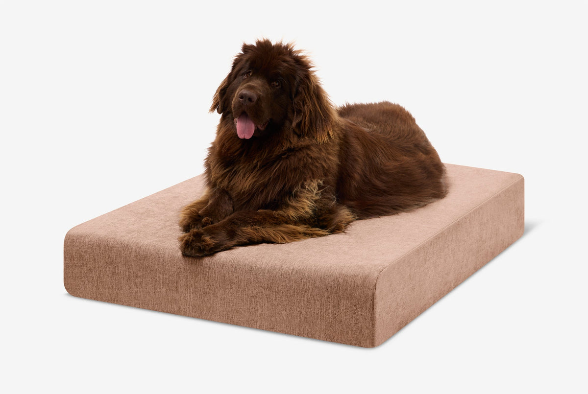 Original Orthopedic Dog Bed