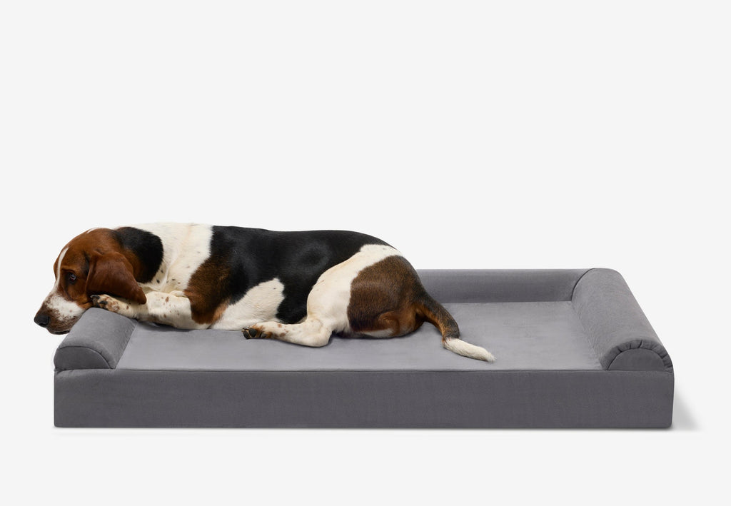 Junior Orthopedic Dog Bed