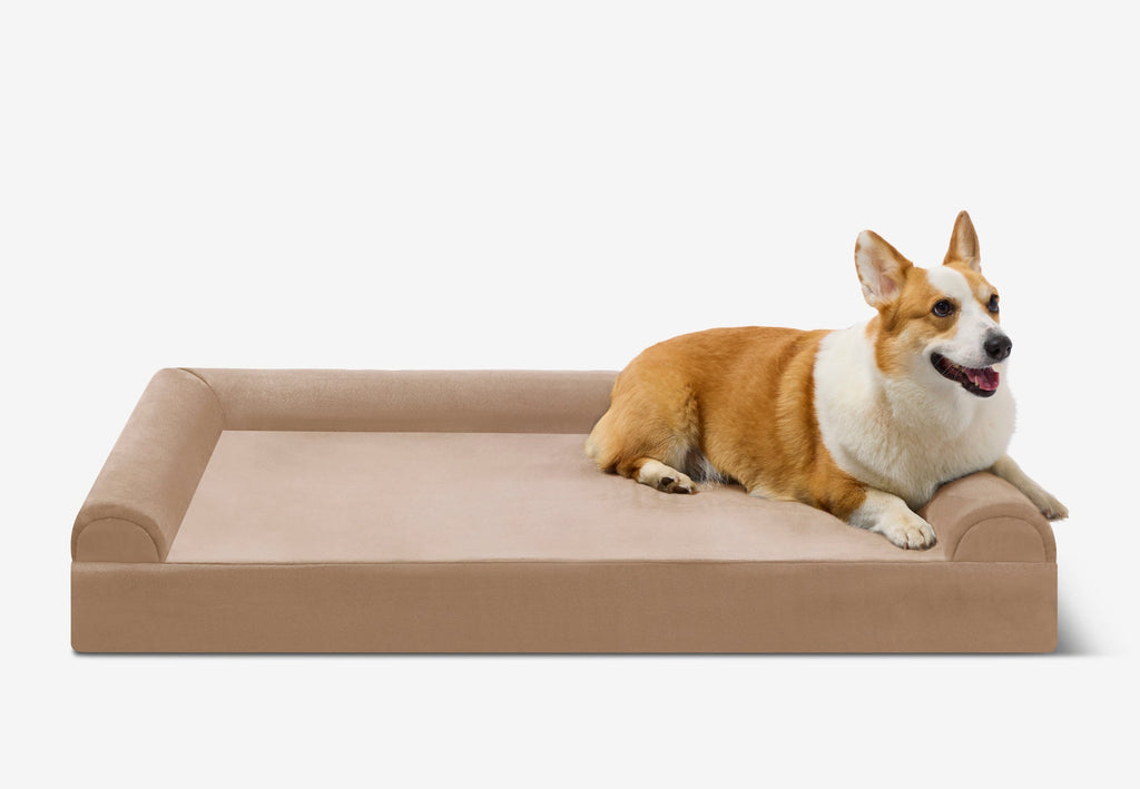 Junior Orthopedic Dog Bed