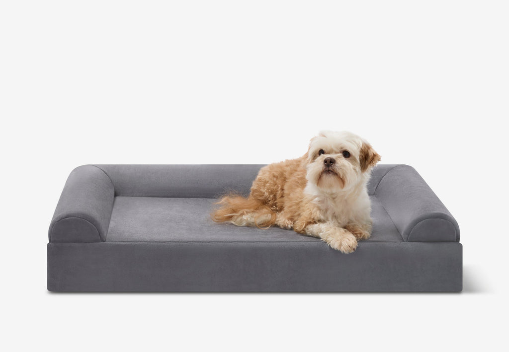 Junior Orthopedic Dog Bed