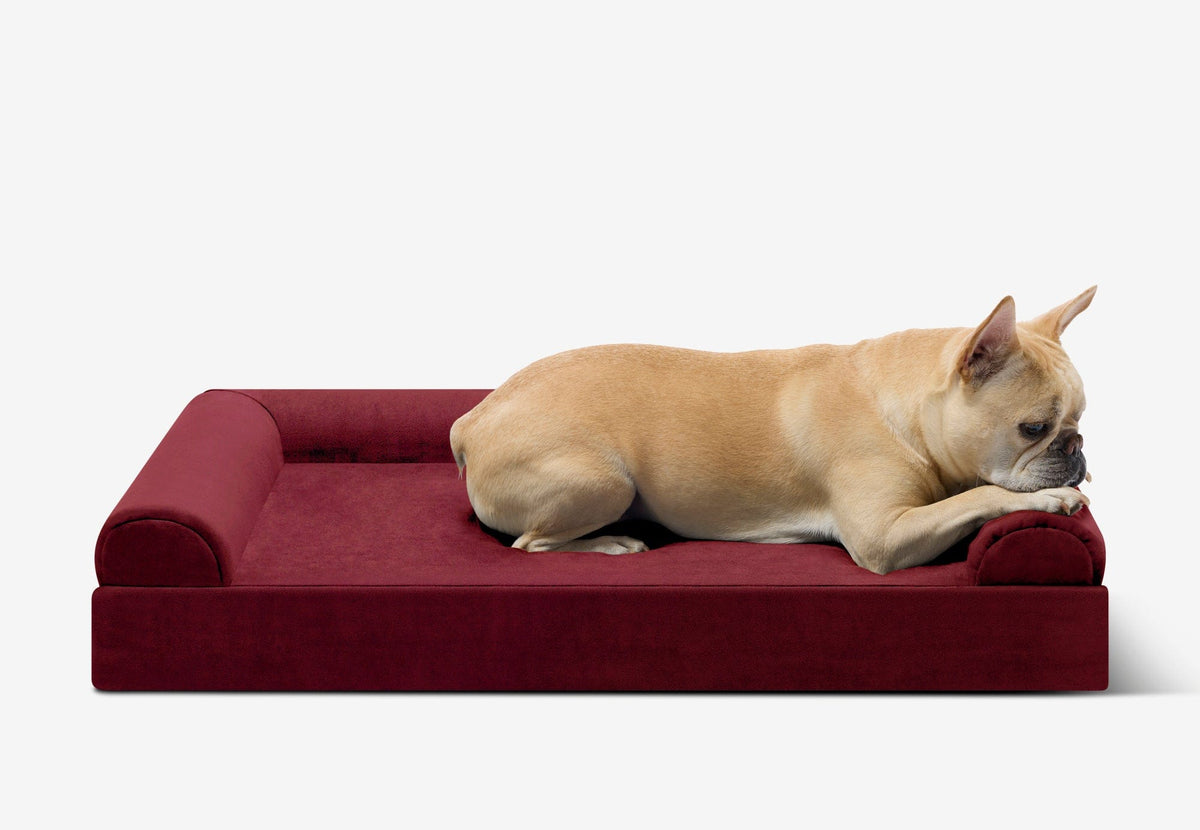 Junior Orthopedic Dog Bed