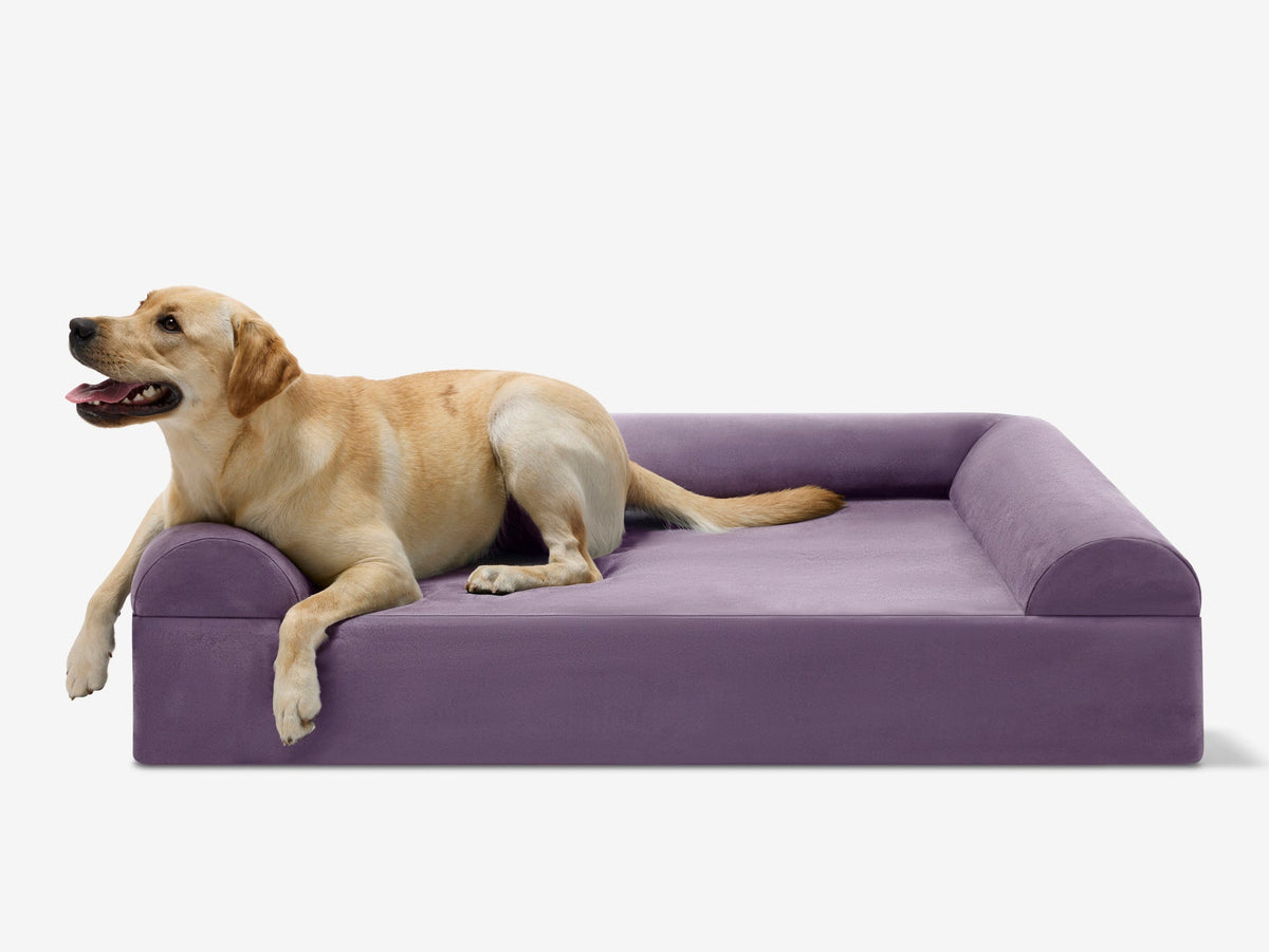 Original Orthopedic Dog Bed