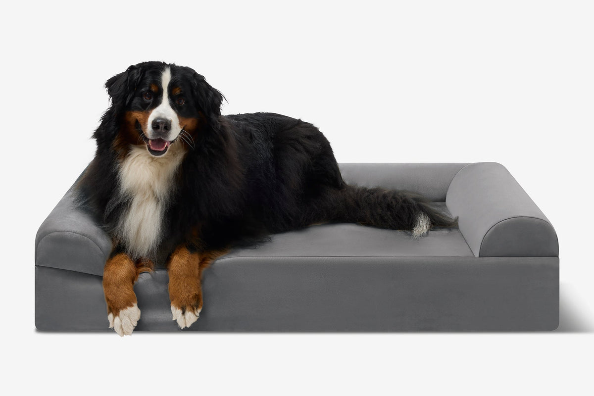 Original Orthopedic Dog Bed