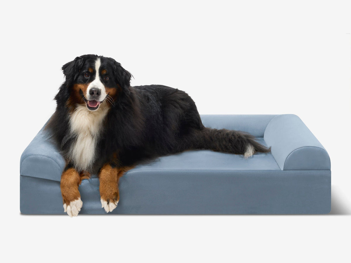 Original Orthopedic Dog Bed