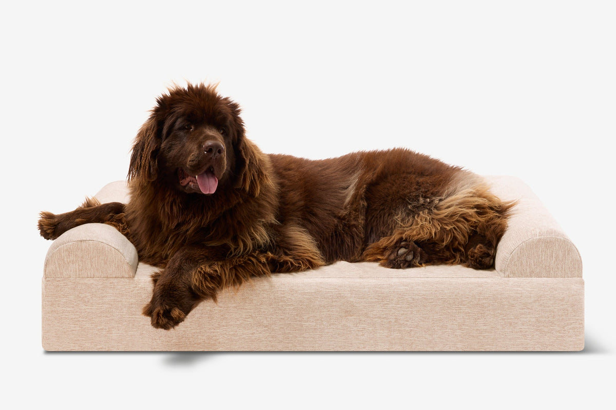 Original Orthopedic Dog Bed