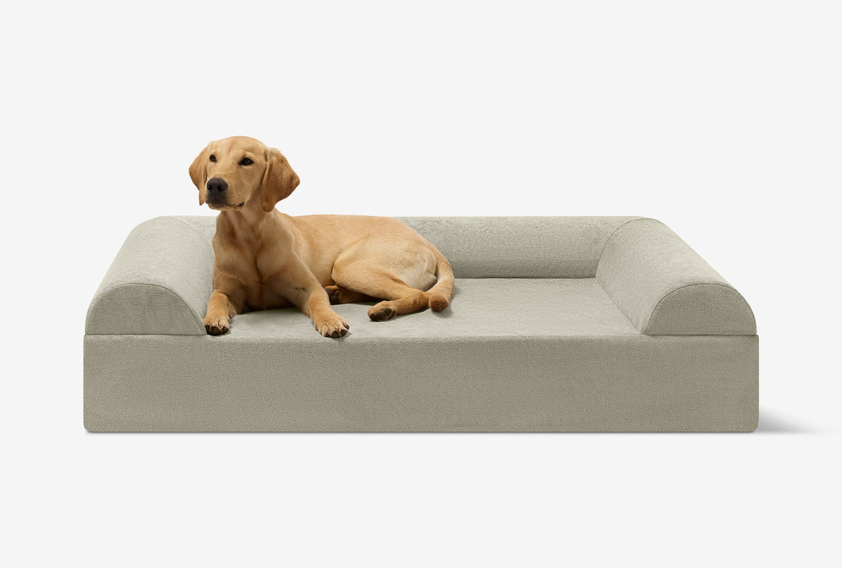 Original Orthopedic Dog Bed
