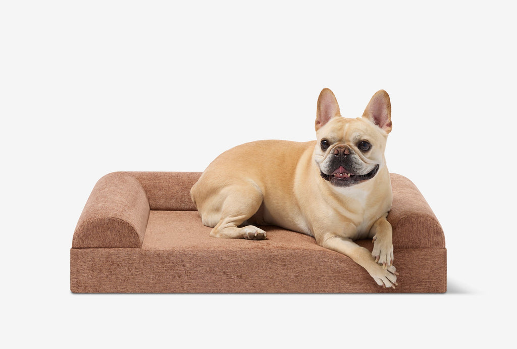 Junior Orthopedic Dog Bed